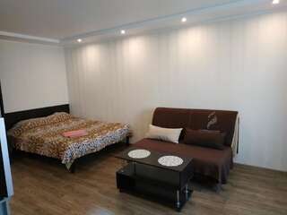 Апартаменты lark apartment Днепр Апартаменты-студио-19