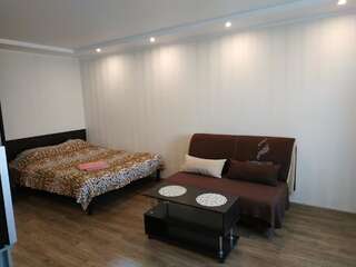 Апартаменты lark apartment Днепр Апартаменты-студио-4